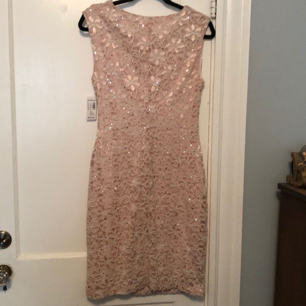Lace Pink Dress floral detail and silver sequins - Picture 3 of 5